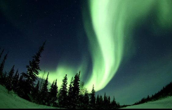 Discover Churchill Tours-丘吉尔必去景点