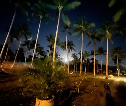 苏梅安那哈塔度假村主图