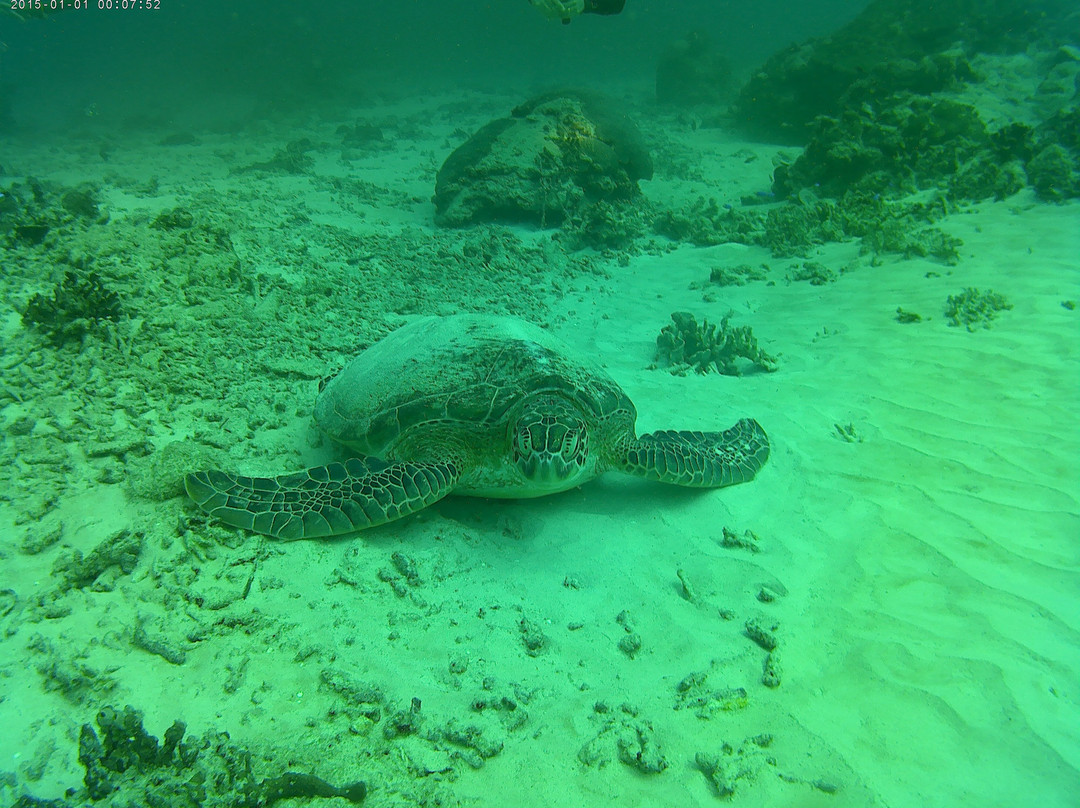 DSM Dive - Gili Trawangan-吉利特拉万安必去景点