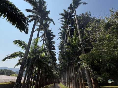 Dilshan Tours In Sri Lanka-尼甘布必去景点