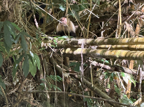 Sierpe Outfitters-Sierpe必去景点