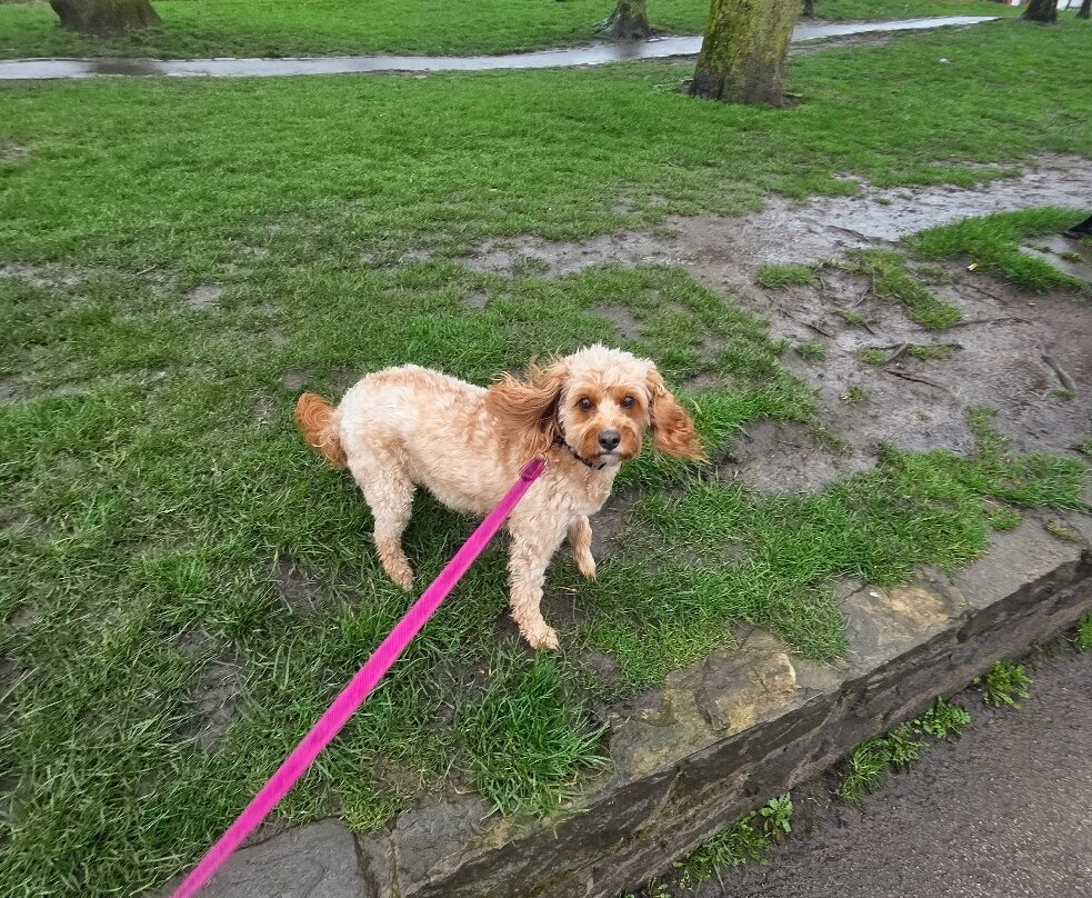 Wallis' Amusement Arcade-Littleborough必去景点