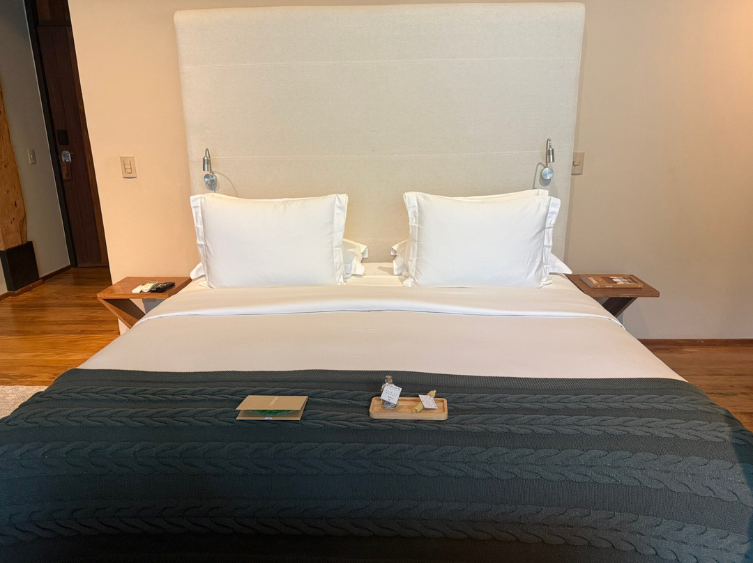 Six Senses Botanique主图