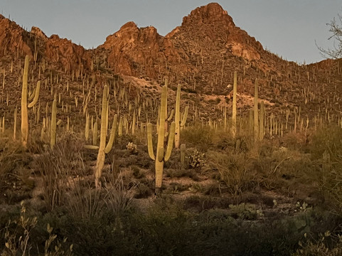 Gates Pass-图森必去景点