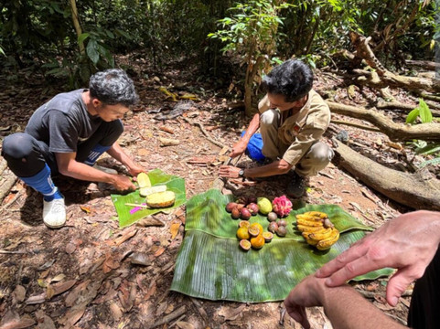 Sumatra Tour Adventures-武吉拉旺必去景点