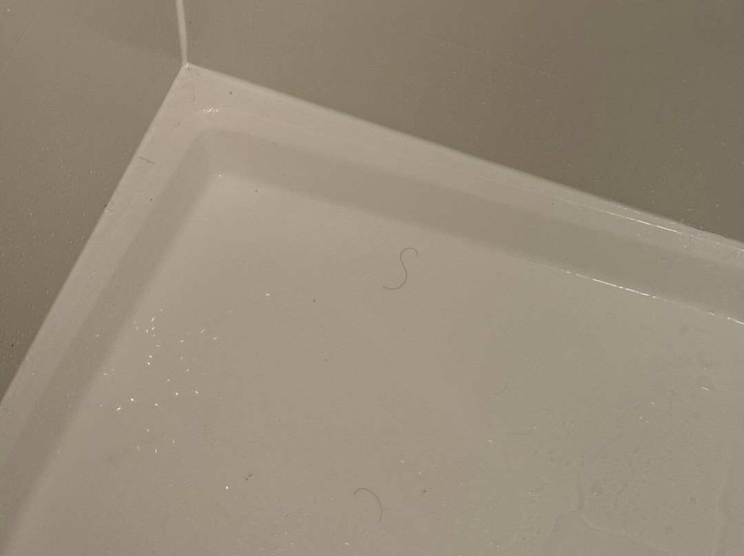 希尔顿欢朋酒店-洛矶山脉主图