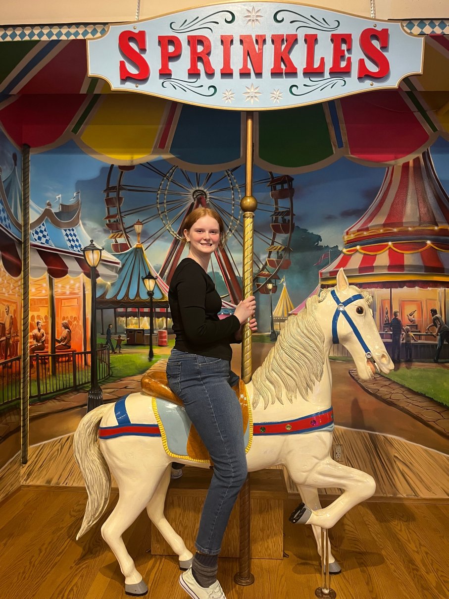 巴伐利亚旅馆旅馆-官方