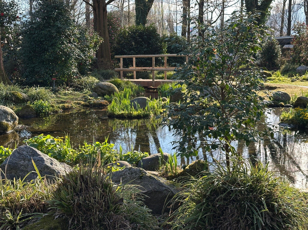 Camellia Park-洛迦诺必去景点