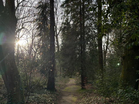 Parque do Fontelo-维塞乌必去景点