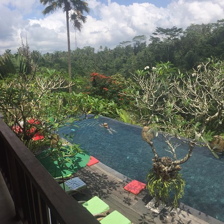 阿拉姆乌布文化别墅及公寓-旅行者