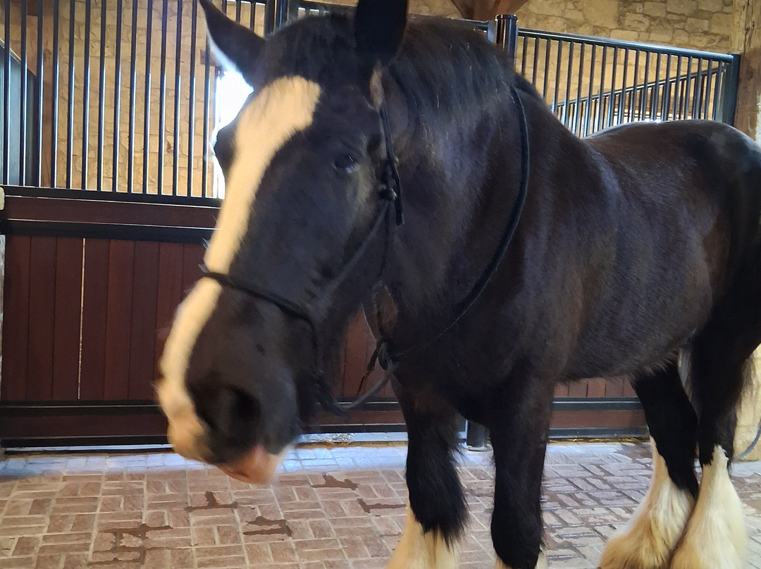 Hermann Farm-赫曼必去景点