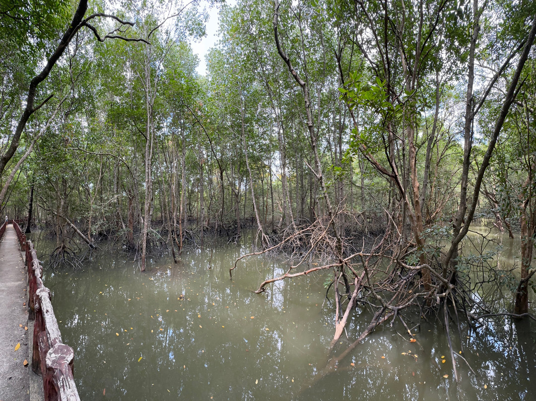 Krabi Urban Forest-Pak Nam必去景点