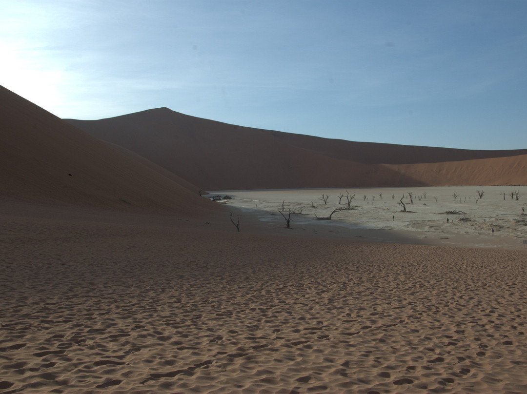 Deadvlei-苏丝斯黎必去景点