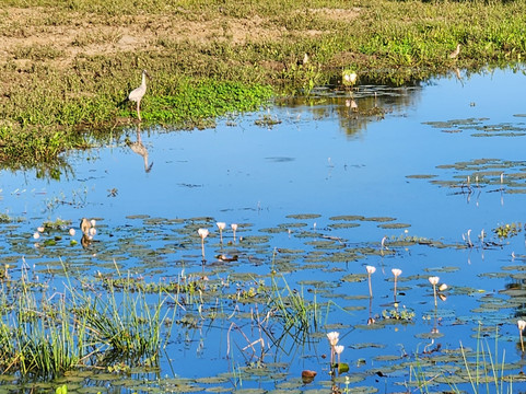 Dazzling Tours-康提必去景点