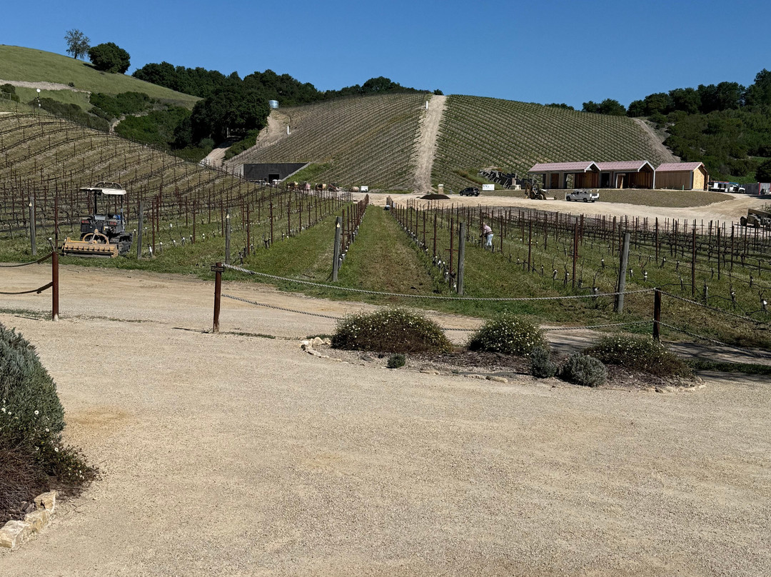 Niner Wine Estates-帕索罗布尔斯必去景点