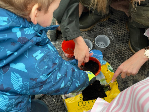 All About Alpacas Ltd.-Cartmel必去景点