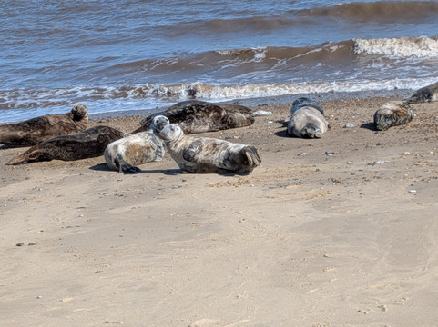 Horsey Beach-Horsey必去景点