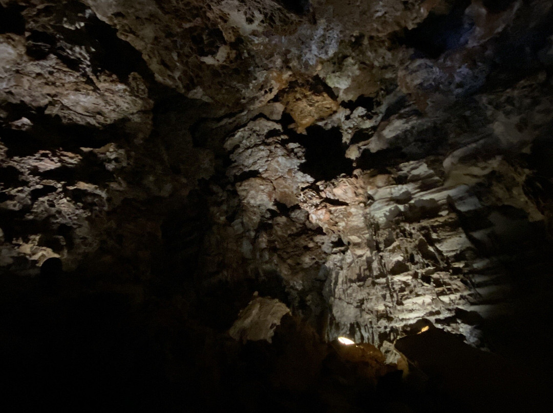 Wind Cave National Park-Wind Cave National Park必去景点