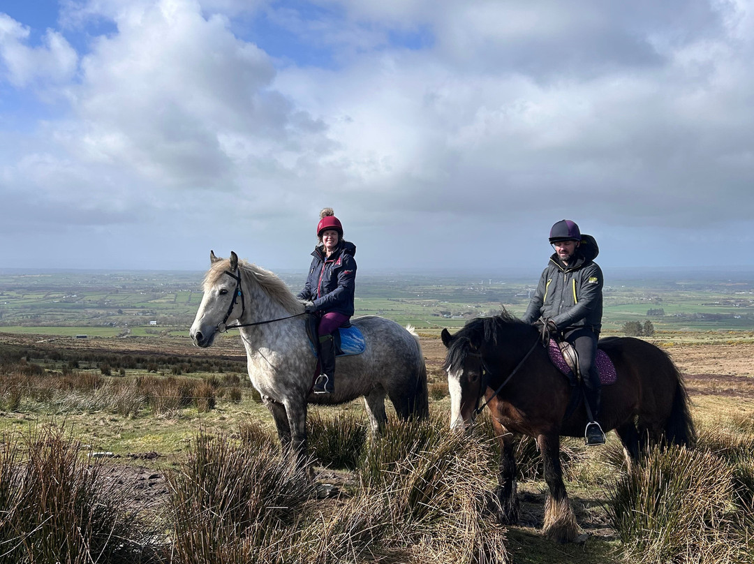 Sheans Horse Farm-Armoy必去景点