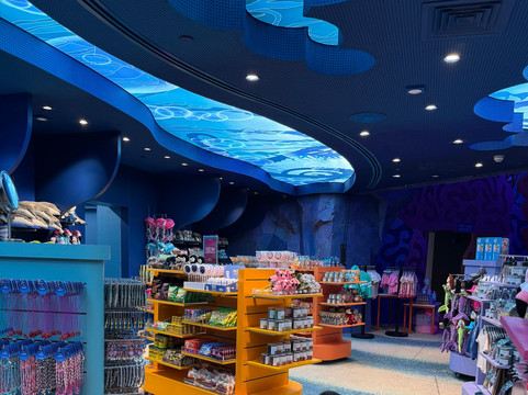 SeaWorld Yas Island Abu Dhabi-阿布扎比必去景点