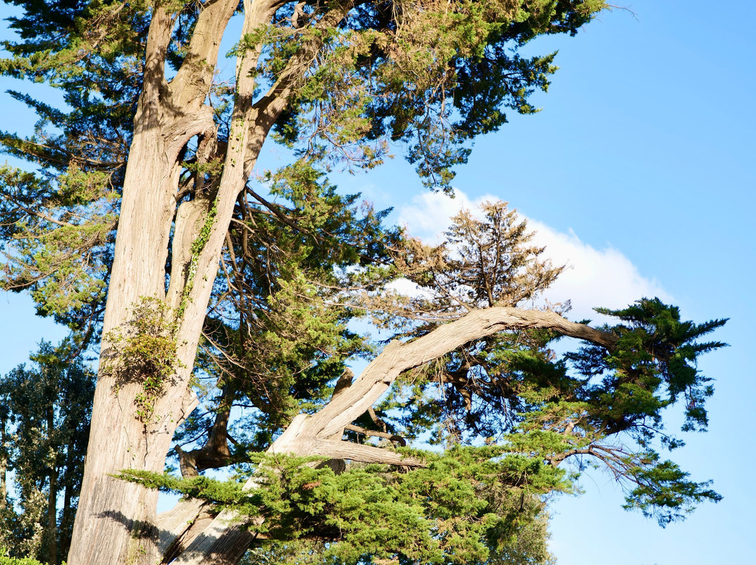 维多利亚公园酒店主图