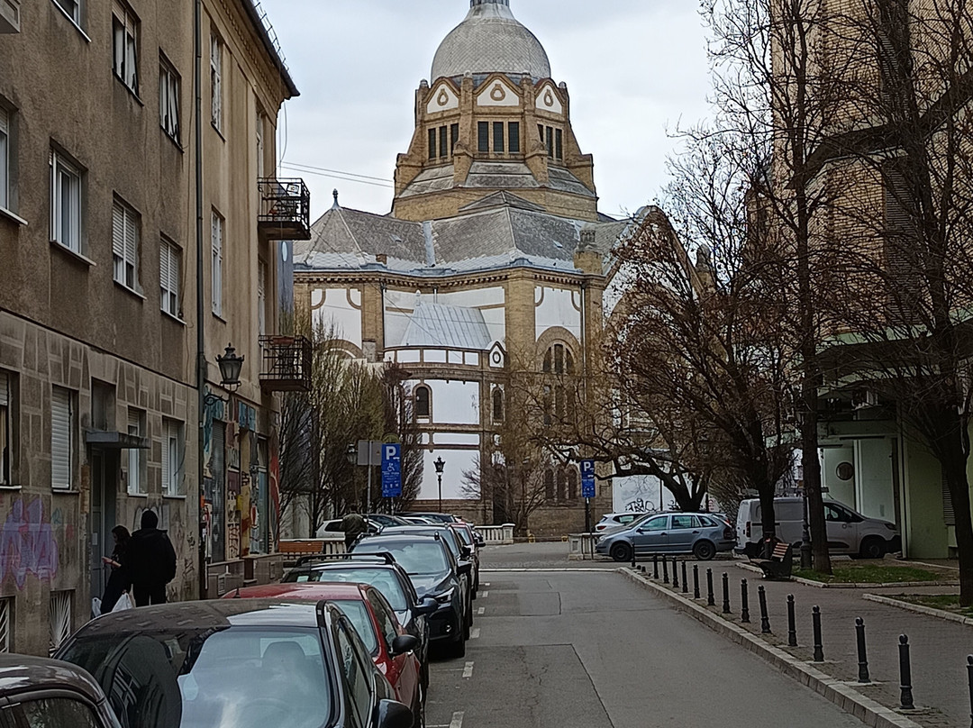 Novi Sad Synagogue-诺维萨德必去景点
