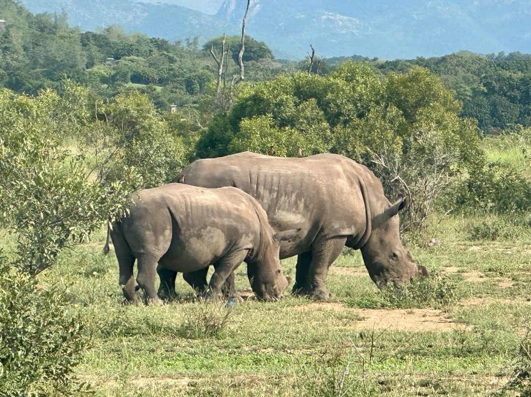 Southern Kruger Safaris-玛洛斯帕克必去景点