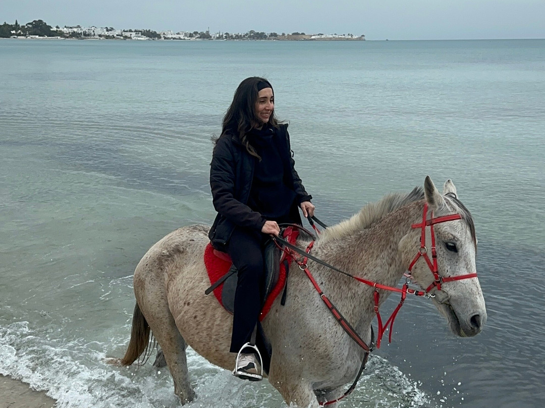 Club Equus Hammamet-哈玛麦德必去景点