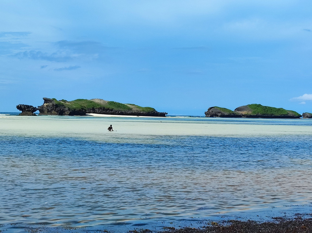 Giornale Kenya Safari - Day Tours-瓦塔木必去景点