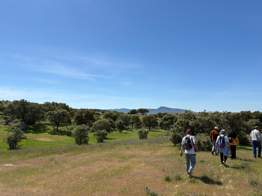 Gastro Dehesa-梅里达必去景点
