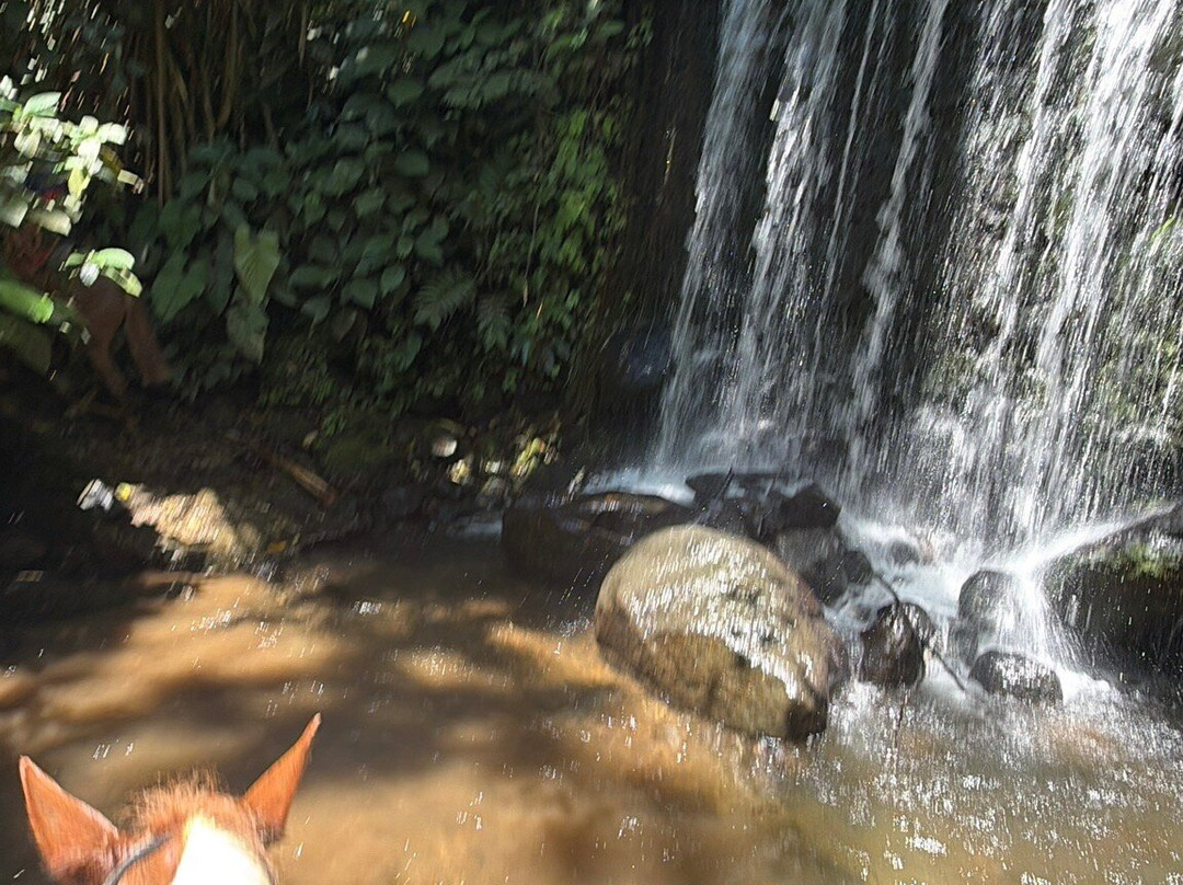 Cabalgata Don Tobias-福德圣卡洛斯必去景点