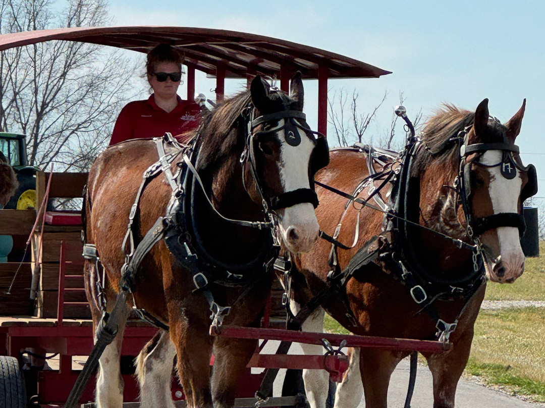 Warm Springs Ranch-Boonville必去景点