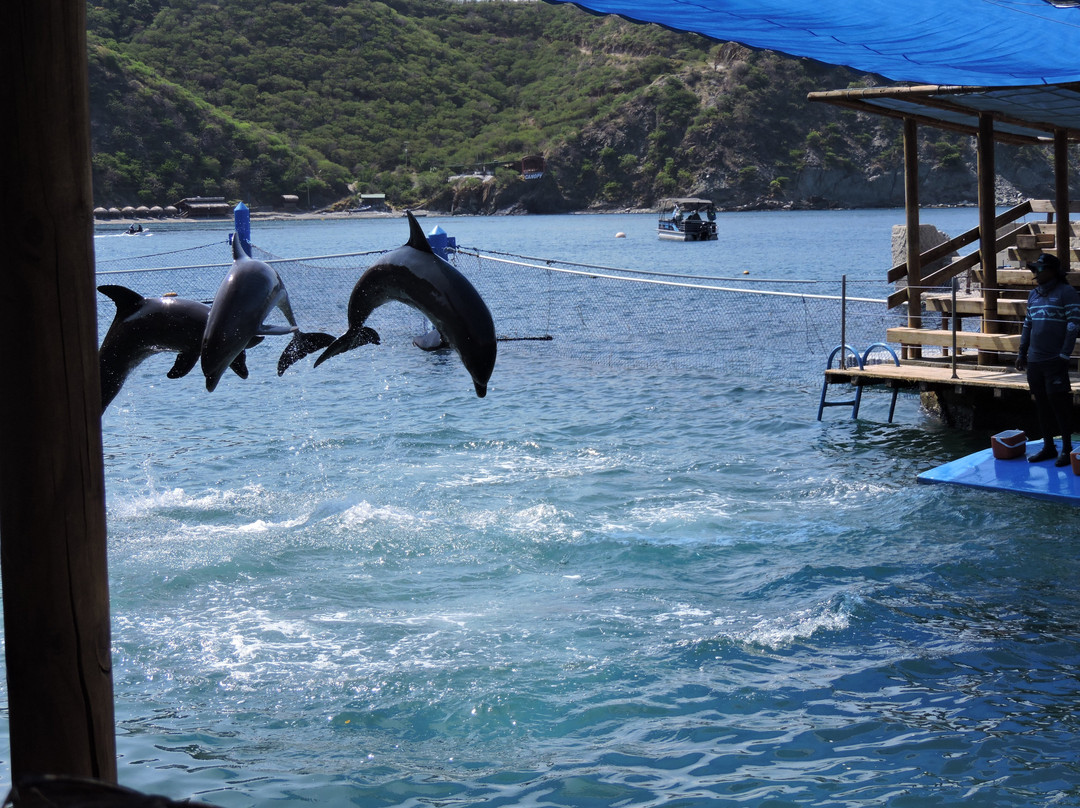 Acuario Mundo Marino-圣玛尔塔必去景点