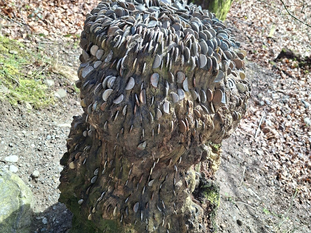 Ben A'an-卡兰德必去景点