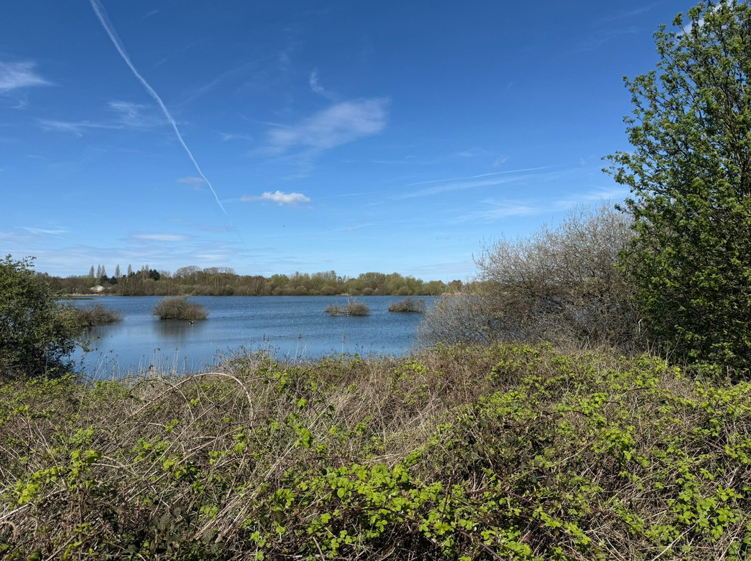 Idle Valley Nature Reserve-Retford必去景点