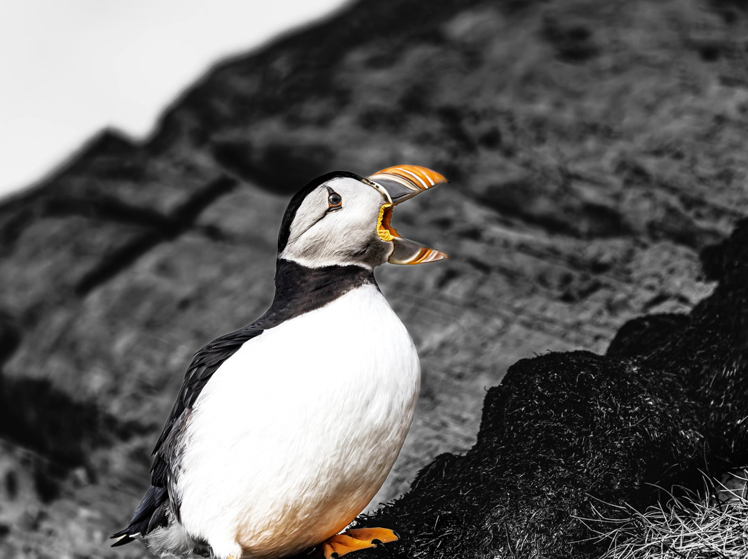 Aurora Holidays-Utsjoki必去景点