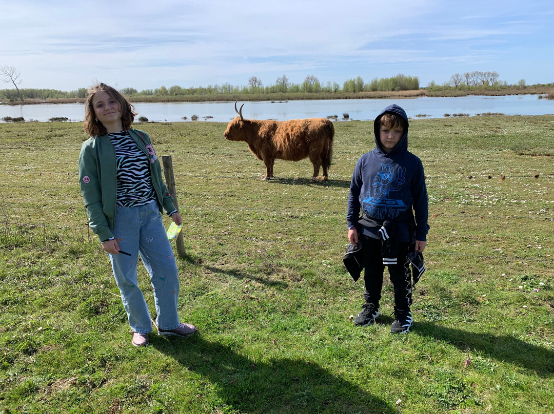 Tiengemeten-Zuid-Beijerland必去景点