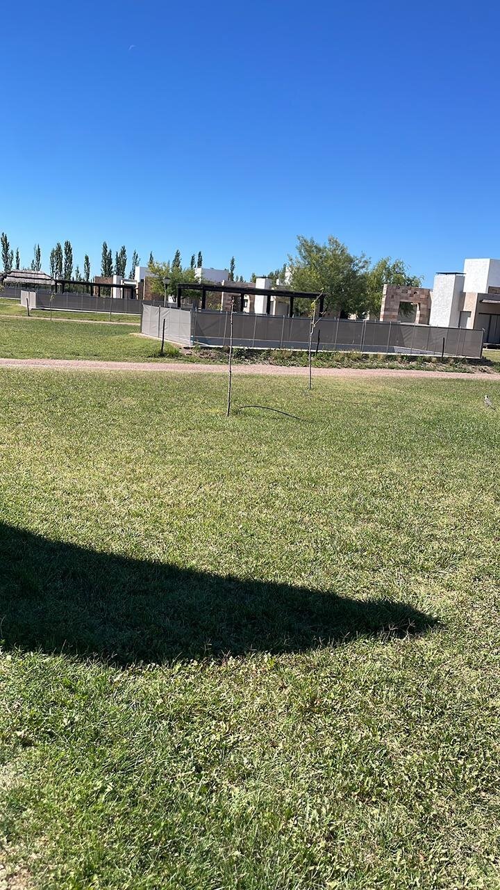 杜鹃花华丽旅馆-度假村/酒店