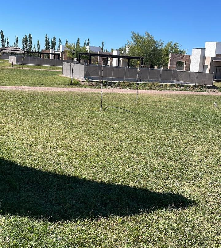 杜鹃花华丽旅馆主图