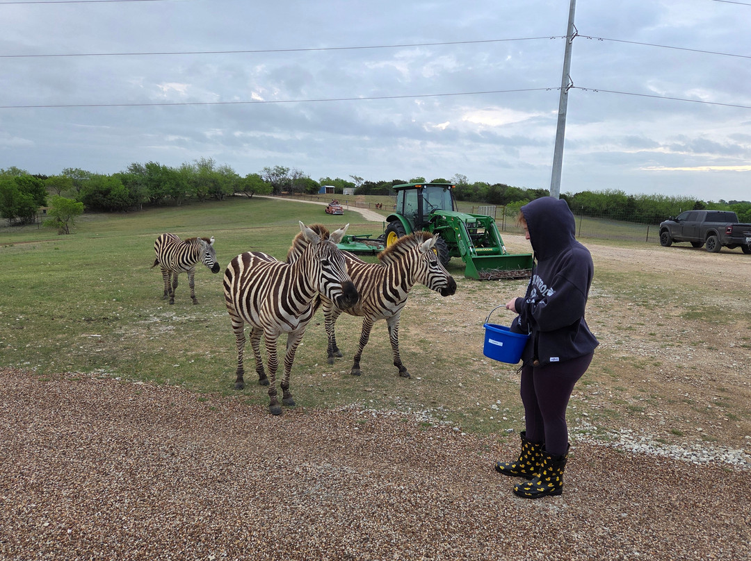 Blue Hills Ranch-McGregor必去景点
