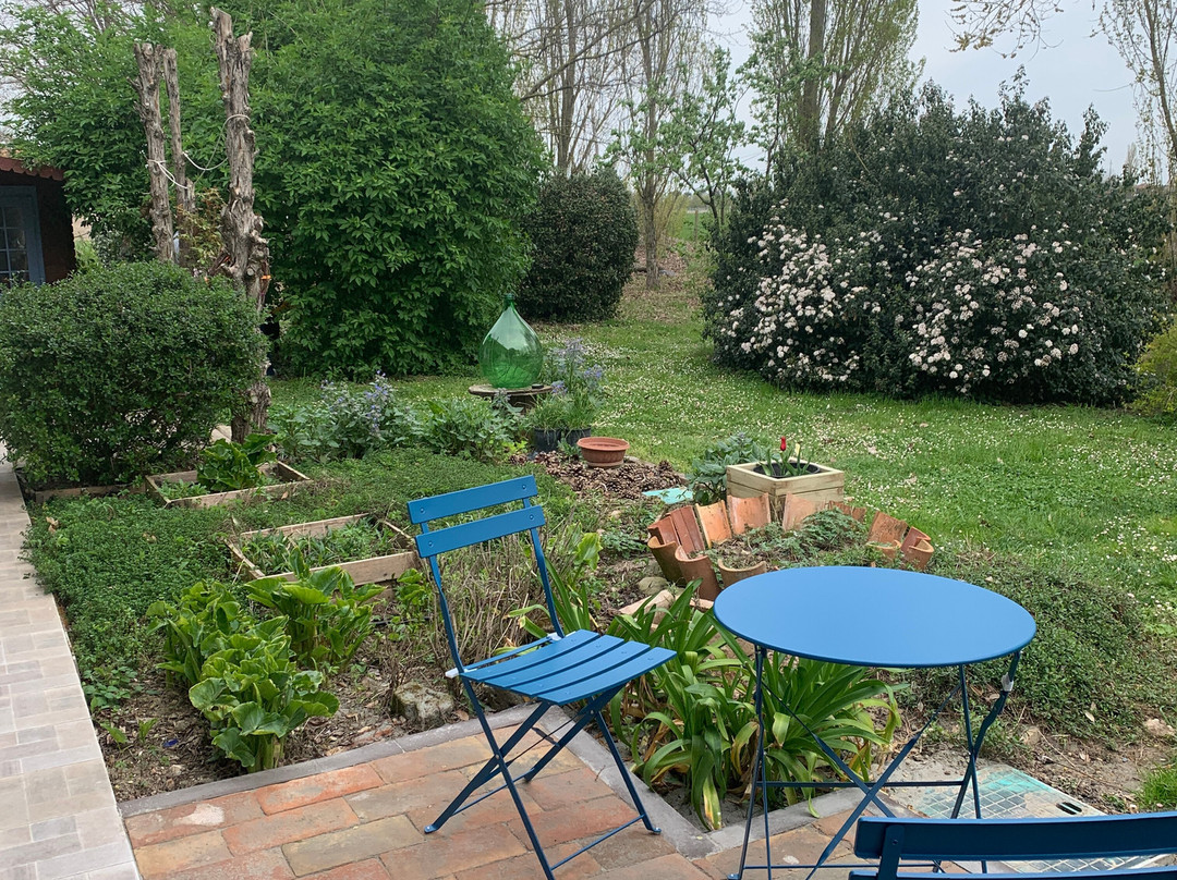 Al Gufo Saggio主图