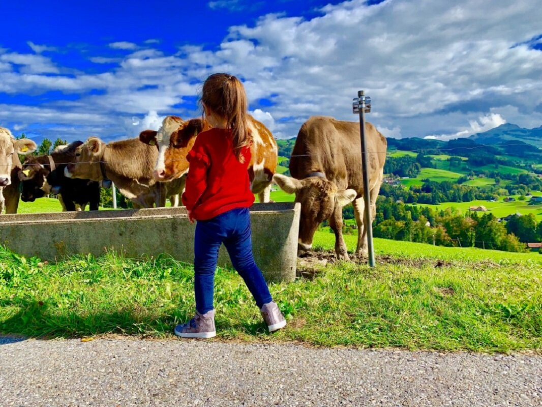 Appenzeller Schaukaserei-Stein必去景点