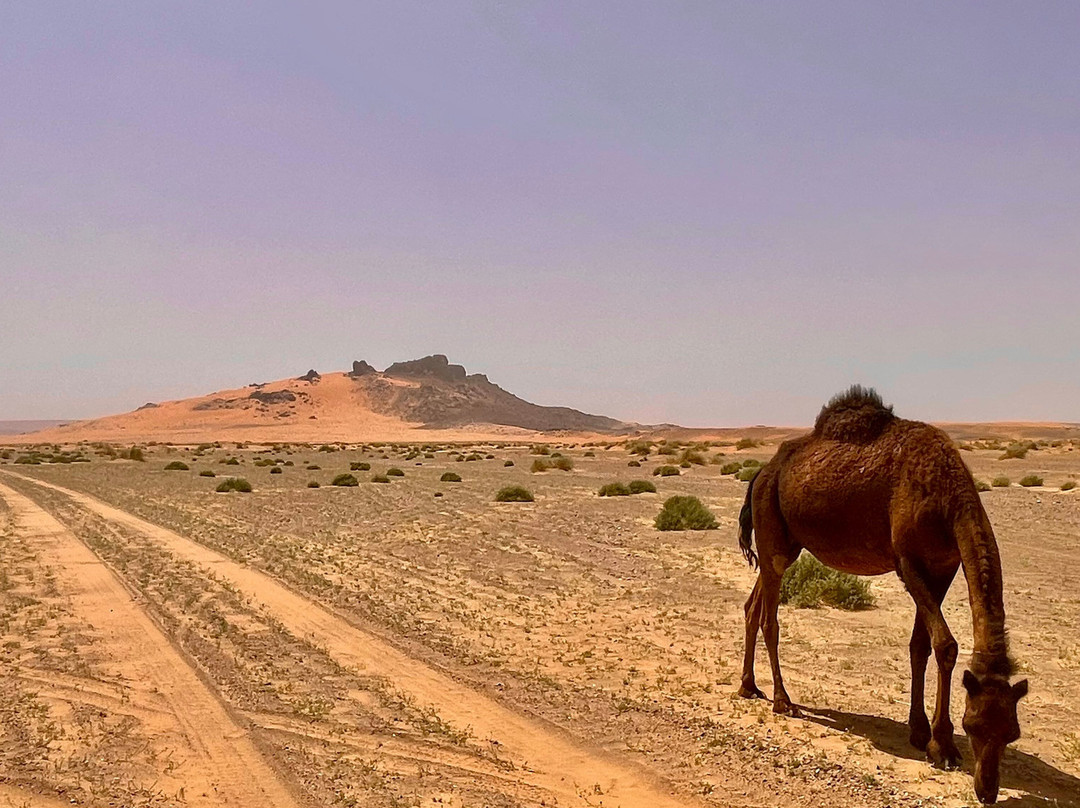 Trips Around Morocco-马拉喀什必去景点