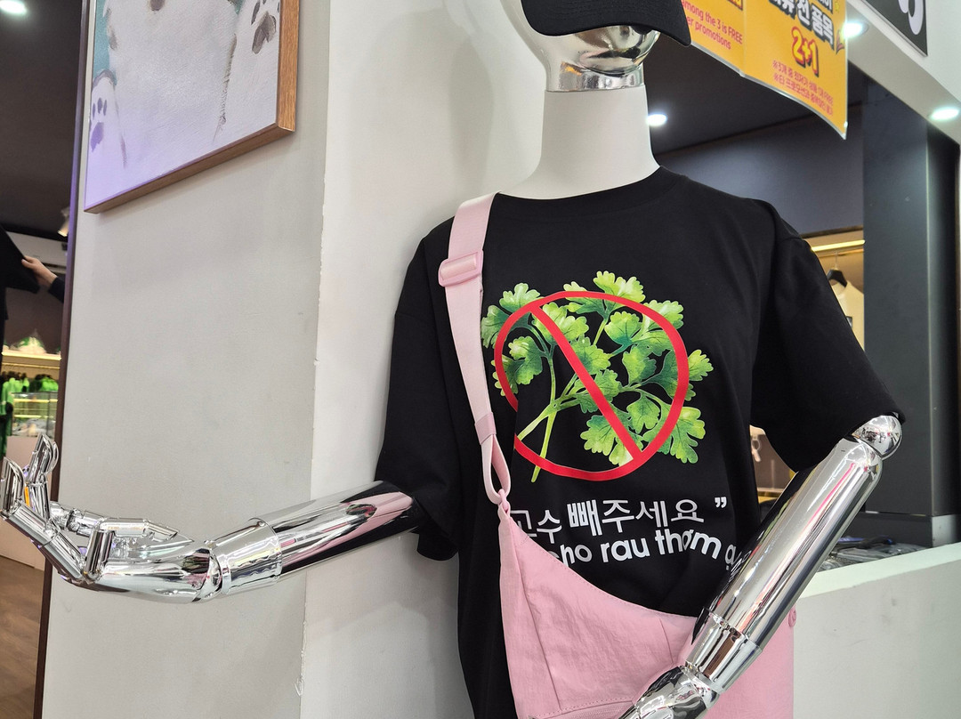 Dragon Market-An Hai必去景点