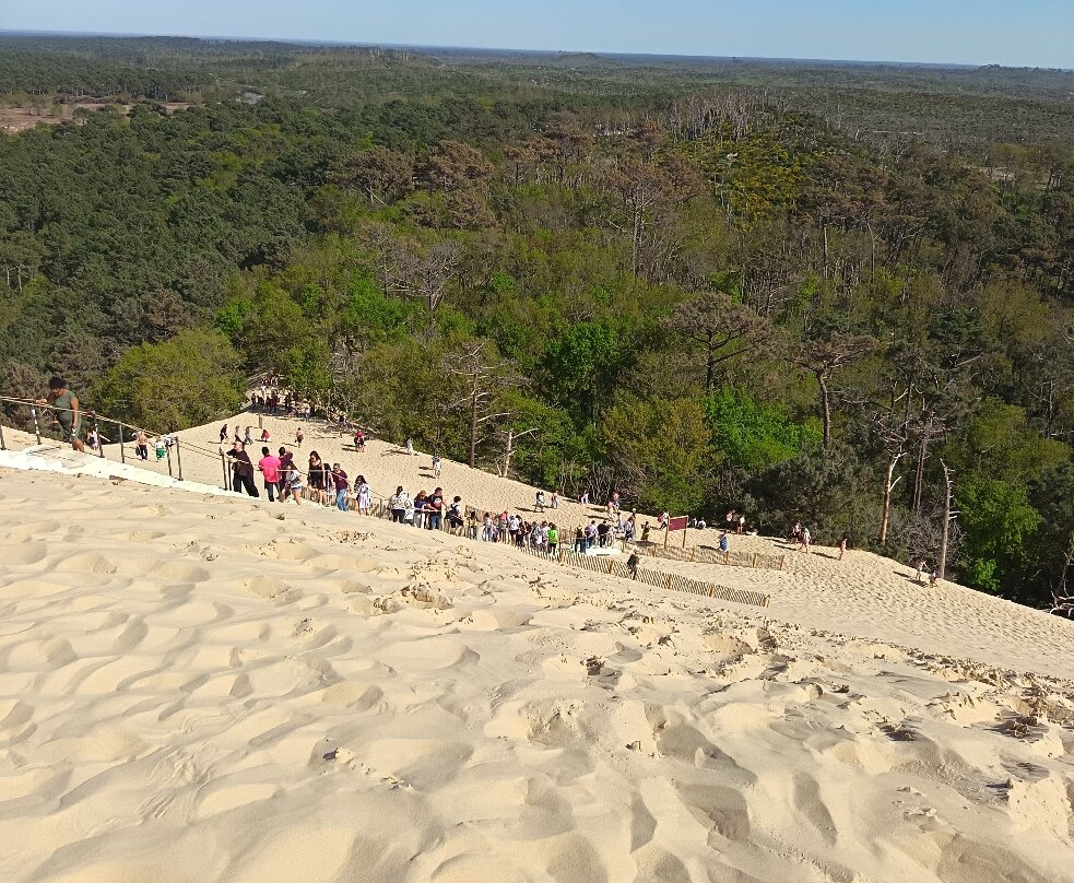 Great Dune of Pilat-拉泰斯特德比克必去景点