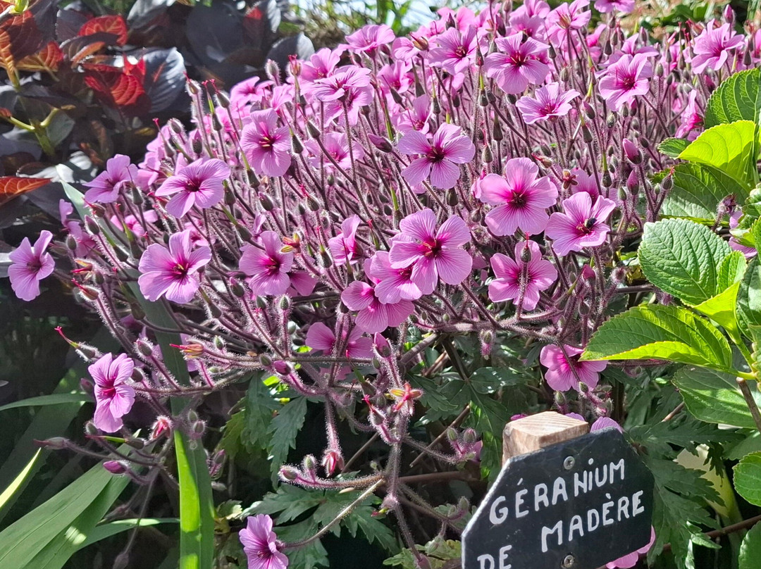 Jardin du Vaëré-Plougonvelin必去景点