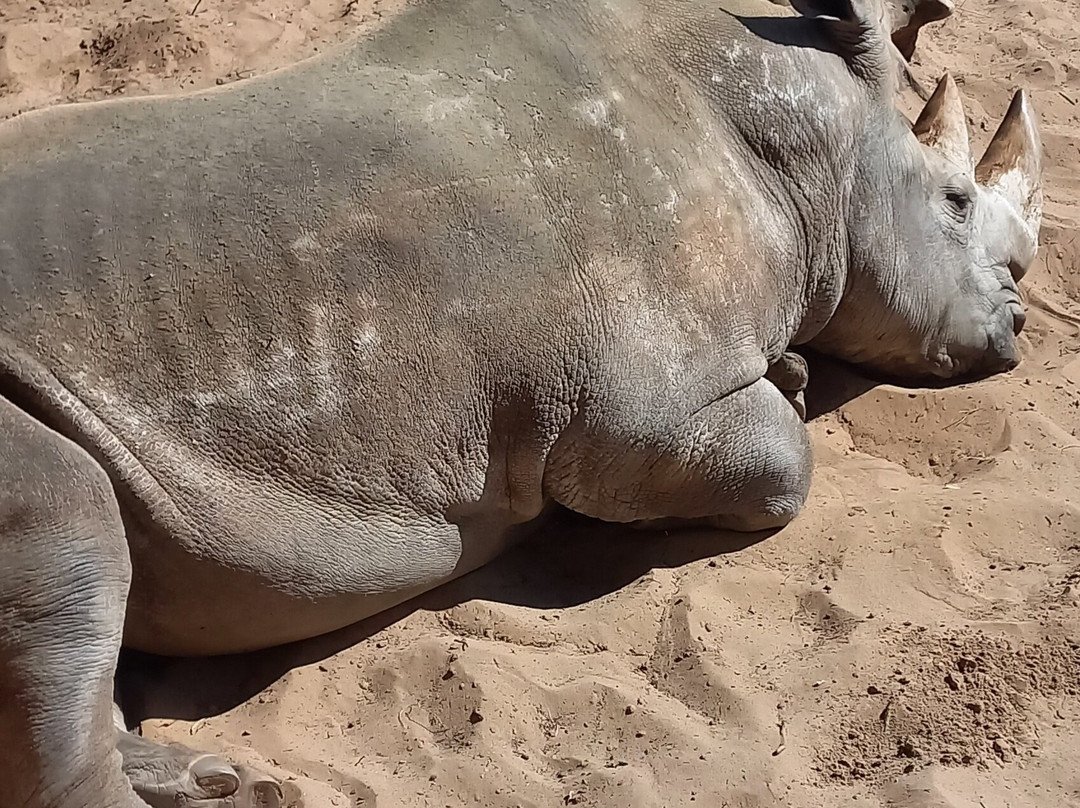 Zoo de La Palmyre-La Palmyre-Les Mathes必去景点