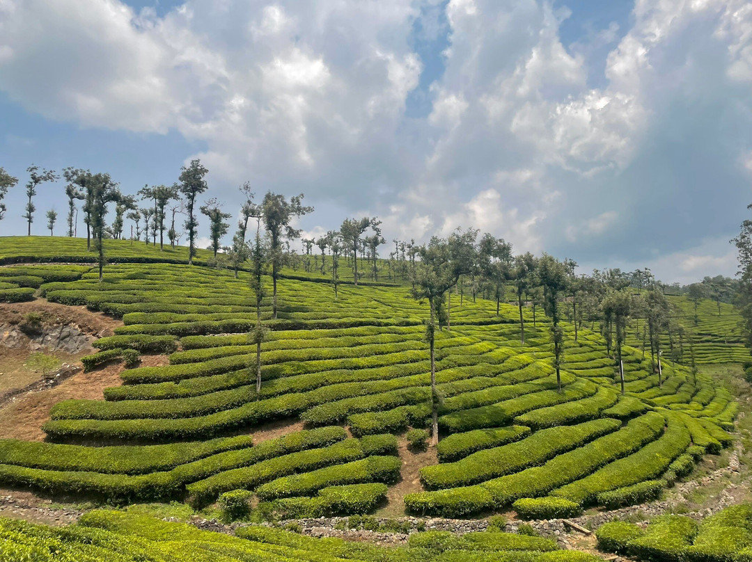 J & J Taxi Service-柯钦必去景点