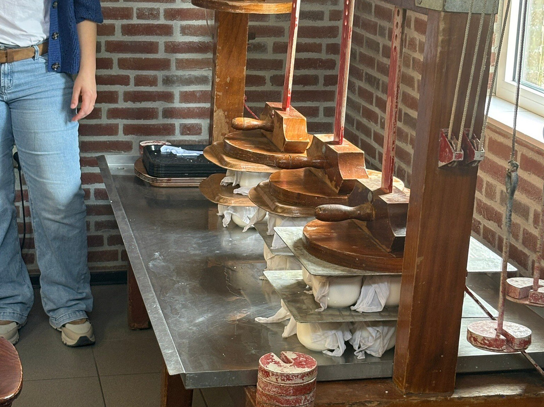 Kaasboerderij De Ruurhoeve-Hoogeloon必去景点