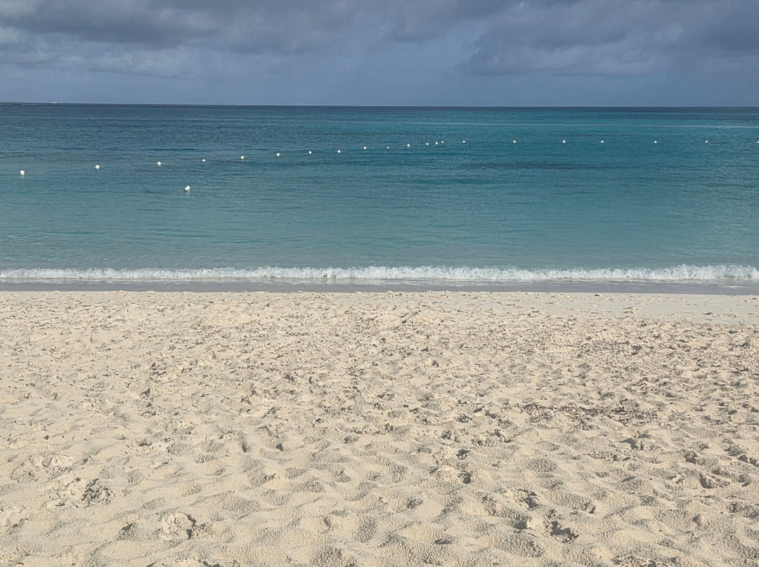 Alexandra Resort - All-inclusive主图